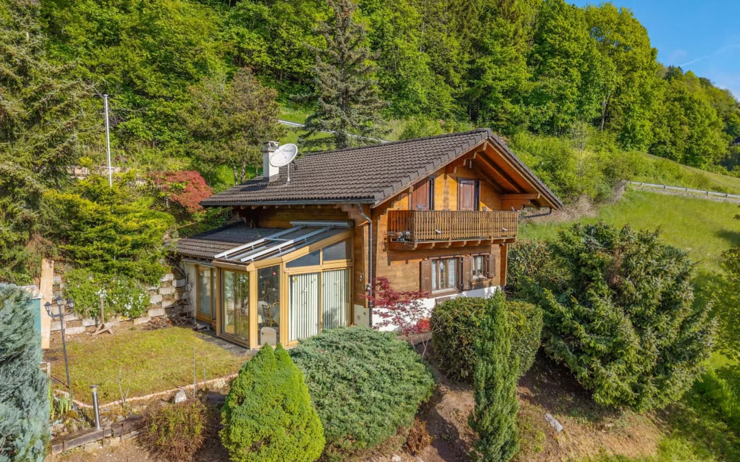 Chalet 4 pièces avec cachet et vue