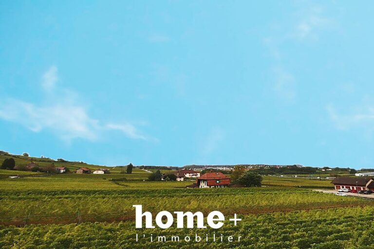 Mont-sur-Rolle Magnifique duplex de charme niché au milieu des vignes
