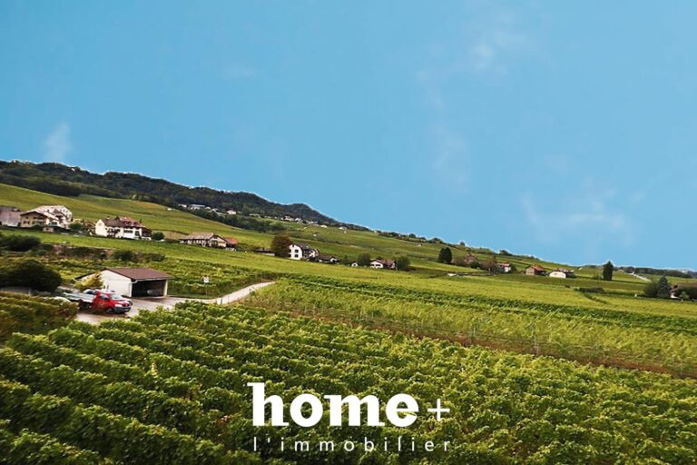 Mont-sur-Rolle Magnifique duplex de charme niché au milieu des vignes
