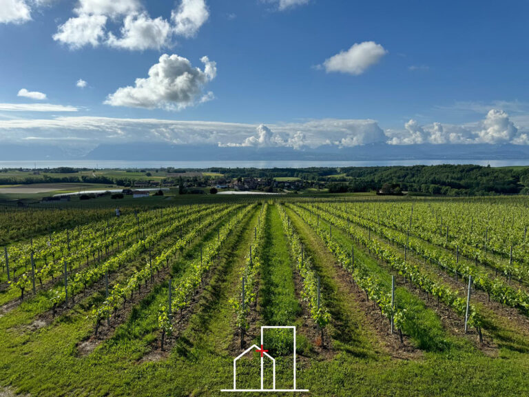 Yens – appartement avec véranda et jardin, vue panoramique
