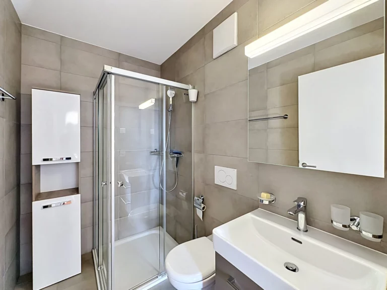 Gilly – Appartement en attique avec vue lac