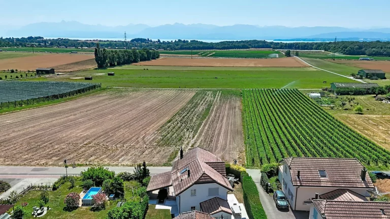 Luins – Maison individuelle en bordure de zone agricole