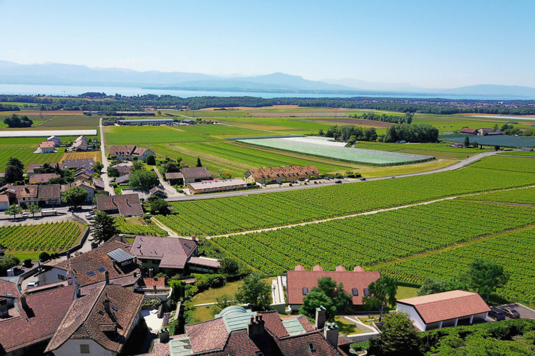 Vinzel – La plus belle adresse sur la Côte!