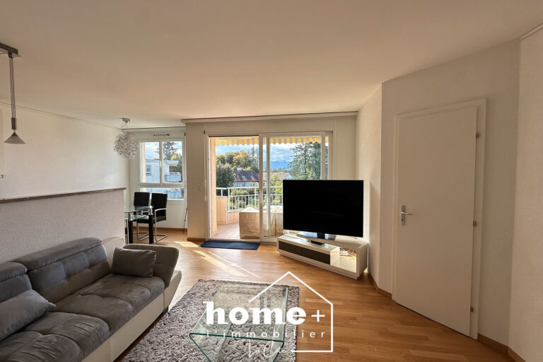 Appartement avec vue sur le Lac