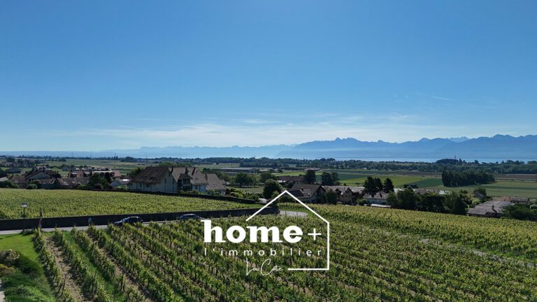 Luins – Appartement en duplex avec jardin, terrasses et vue lac