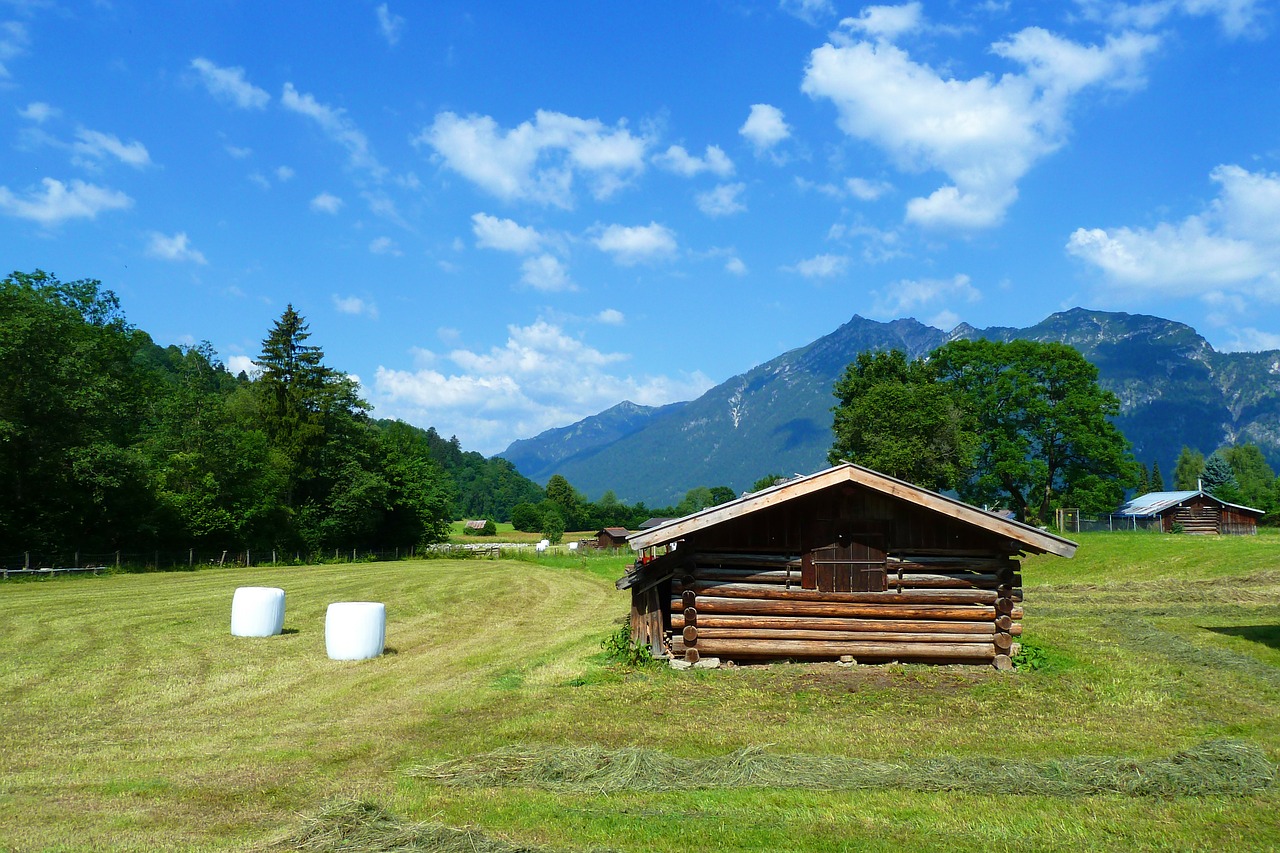 field-116088_1280
