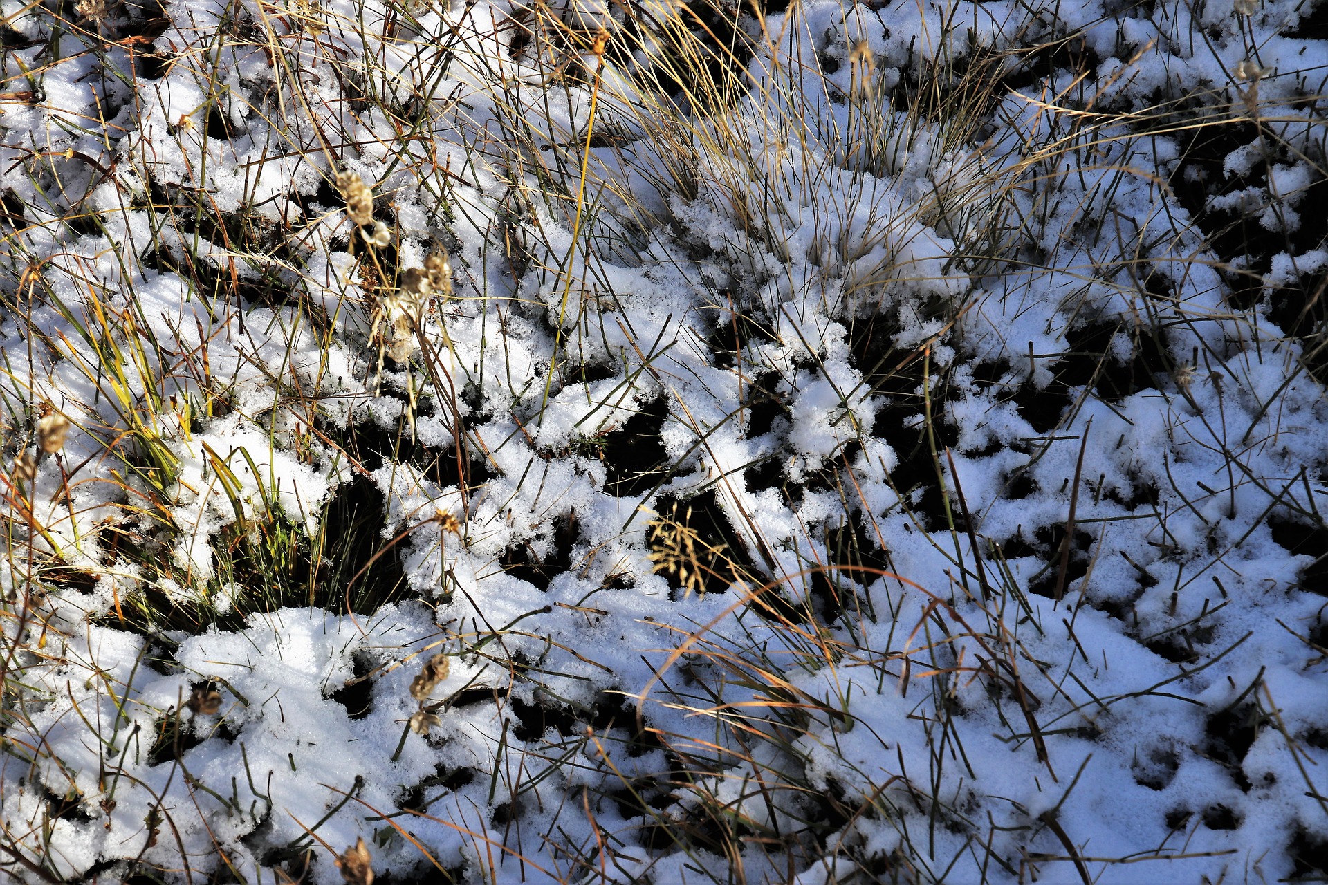 first-snow-3731705_1920