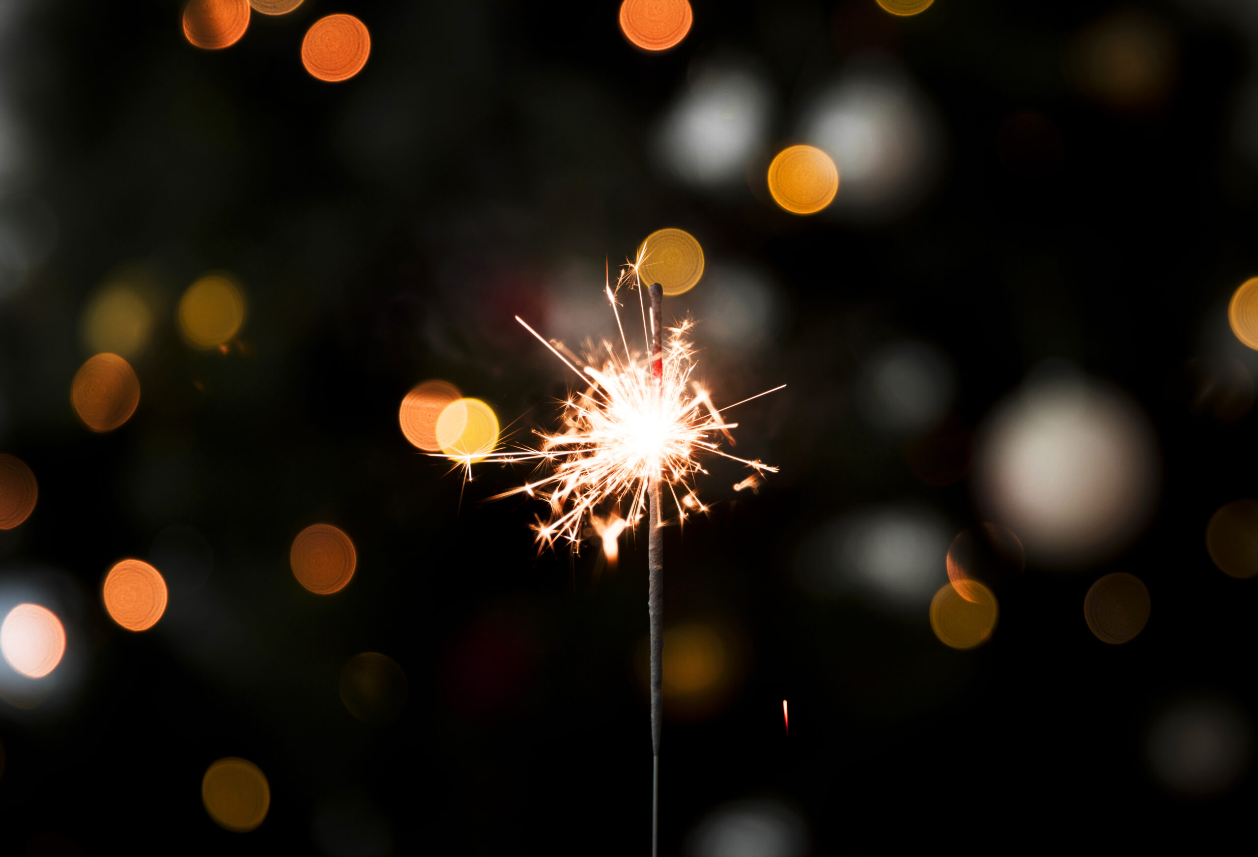 Bonne Année !